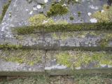 image of grave number 688568
